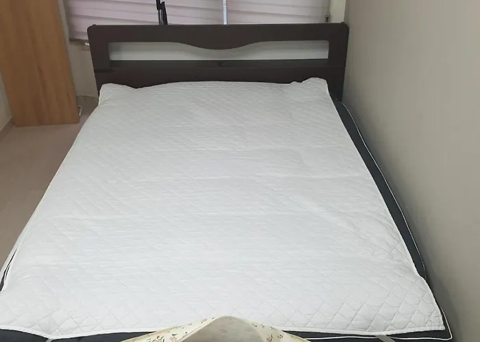 3415#gangnam Urban Vogue #top-rated Unit # All-new Furniture & Peaceful Vibe# Sinnonhyeon 1min 公寓 *